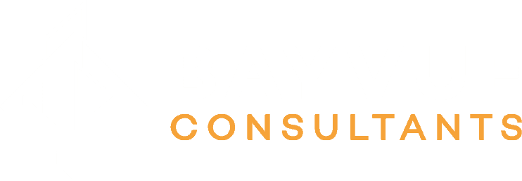 Bayvue Consultants